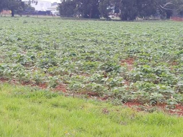 Land for sale in Sundra, Mpumalanga