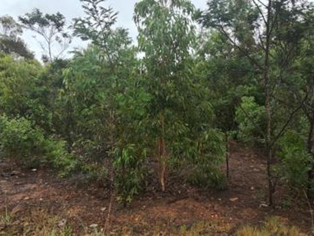 Land for sale in Eastern Cape