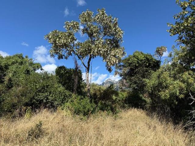 Land for sale in Mopani, Limpopo