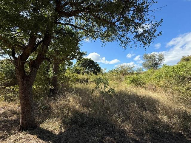 Land for sale in Mopani, Limpopo
