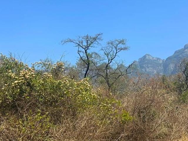 Land for sale in Mopani, Limpopo