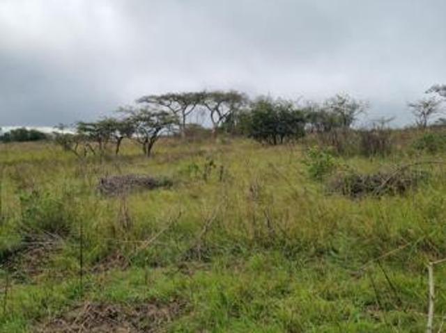 Land for sale in Ehlanzeni, Mpumalanga