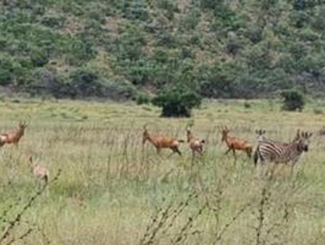 Land for sale in Limpopo
