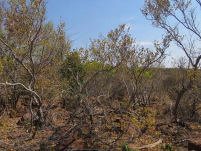 Land for sale in Limpopo