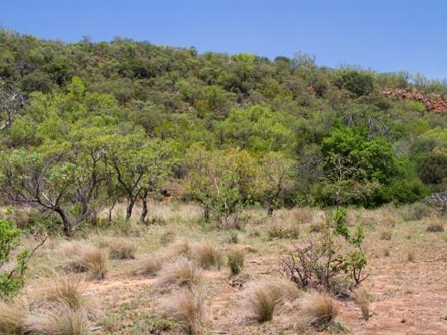 Land for sale in 57 Waterberg, Lephalale Local Municipality