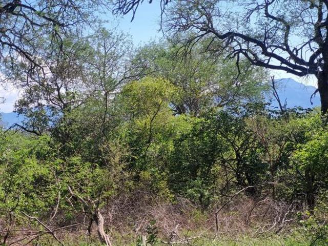 Land for sale in Mopani, Limpopo