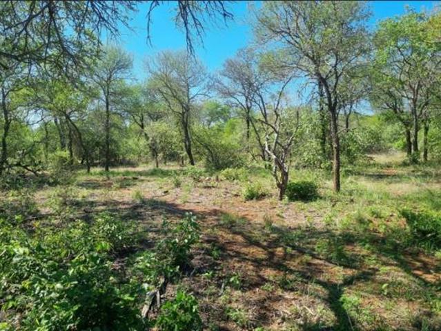 Land for sale in Mopani, Limpopo