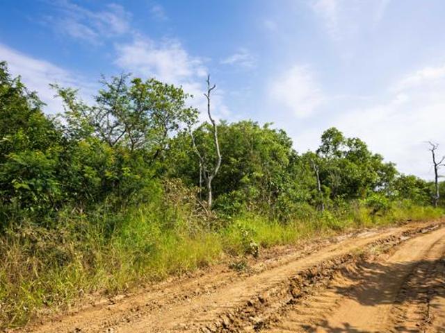 Land for sale in Mopani, Limpopo