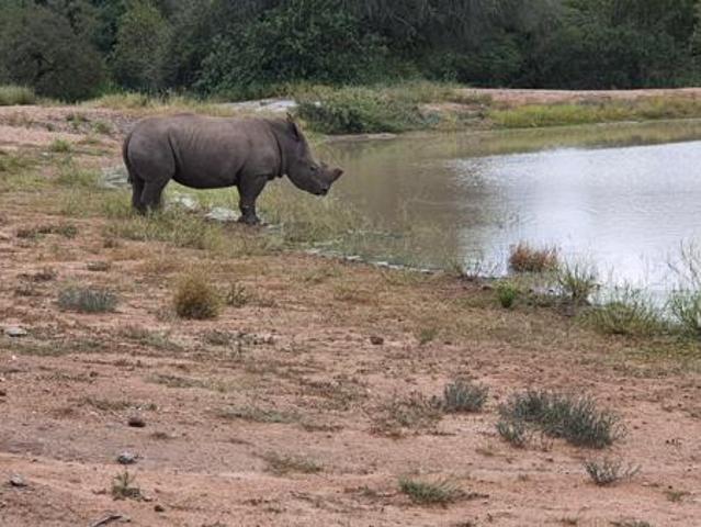 Land for sale in Mopani, Limpopo