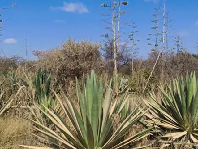 Land for sale in Polokwane, Polokwane Local Municipality