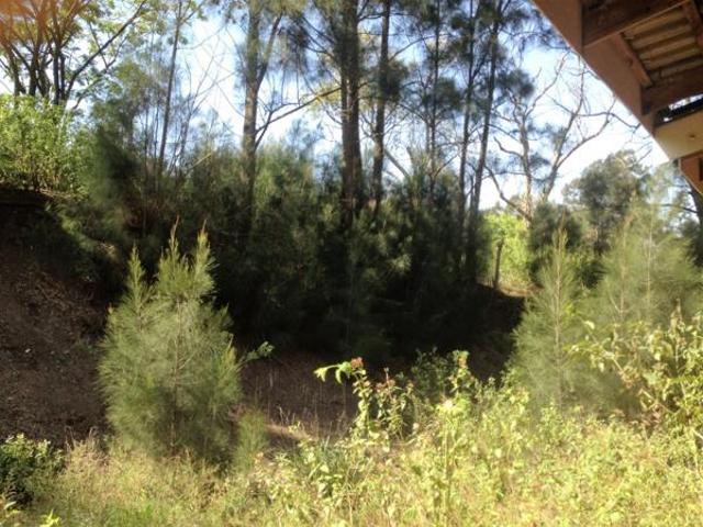 Land for sale in Princess Grant, Kwazulu-natal