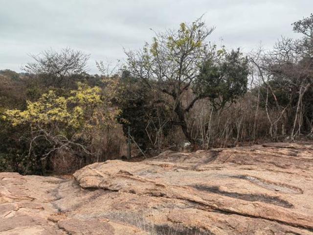 Land for sale in Ehlanzeni, Mpumalanga