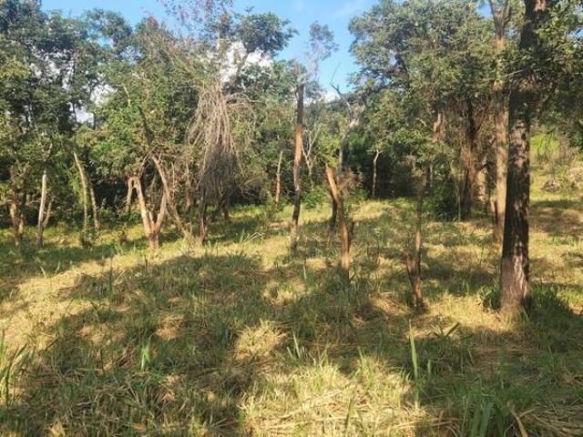 Land for sale in Mopani, Limpopo