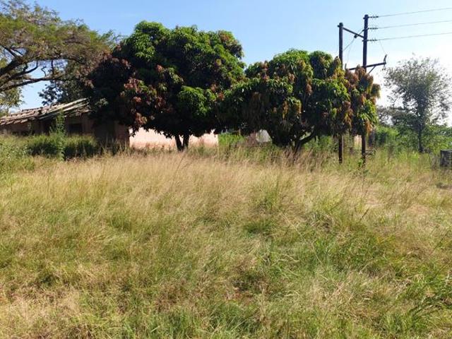 Land for sale in Ehlanzeni, Mpumalanga