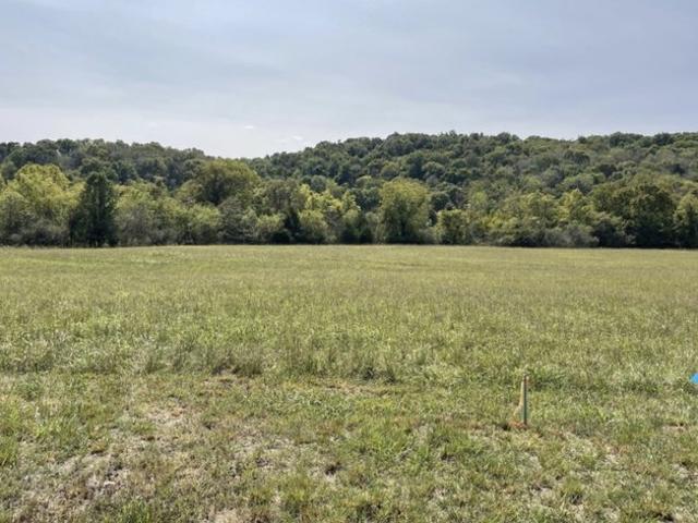 Land for sale in Tennessee