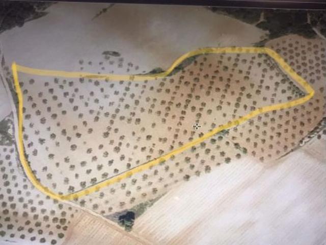 Local Comercial en venta en Las Peñas, La Plana de Utiel-Requena