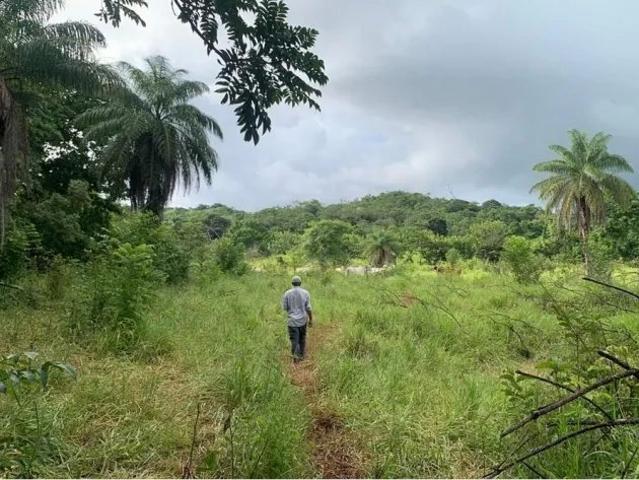Terreno venta en Soná