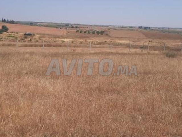 Propriété vente à Ait Khemis