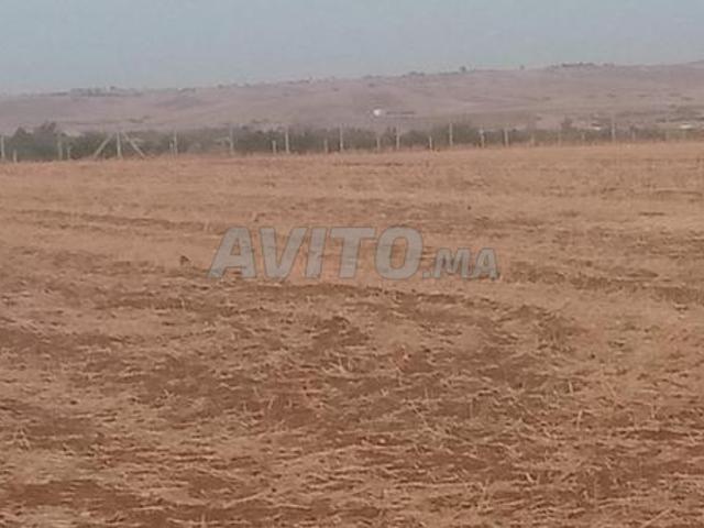 Propriété vente à Ait Khemis