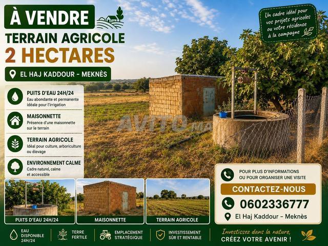 Propriété vente à Meknès