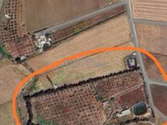 Propriété vente à Gharb-Chrarda-Beni Hssen