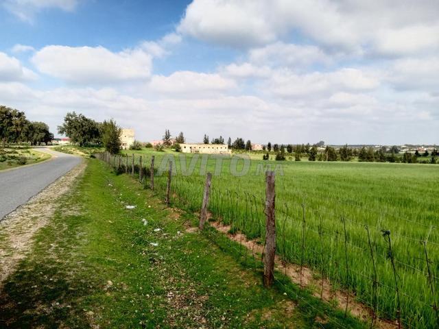 Propriété vente à Sidi Allal El Bahraoui