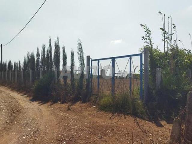 Propriété vente à Gharb-Chrarda-Beni Hssen