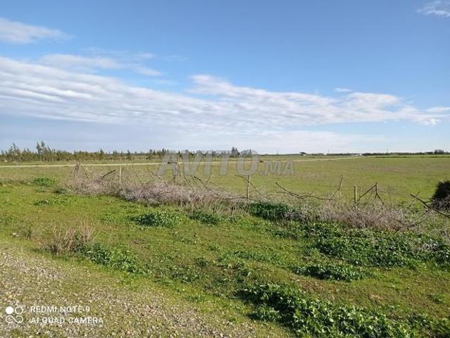 Propriété vente à Gharb-Chrarda-Beni Hssen