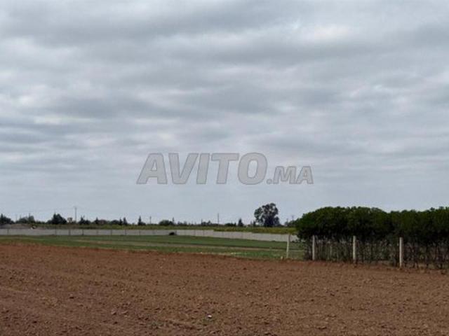 Propriété vente à Slimane, Gharb-Chrarda-Beni Hssen