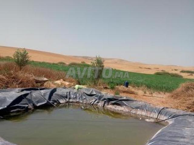 Propriété vente à Youssoufia, L'Oriental