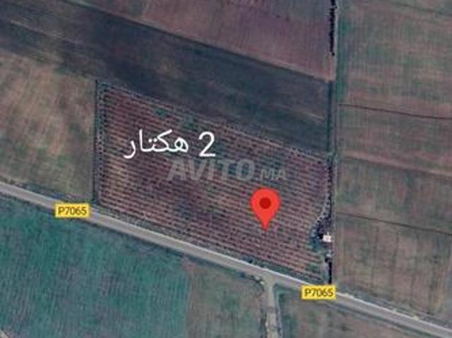 Propriété vente à Meknès
