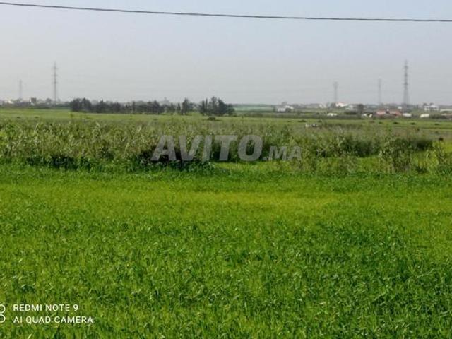 Propriété vente à Gharb-Chrarda-Beni Hssen