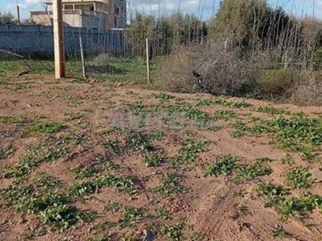 Propriété vente à Ouarzazate