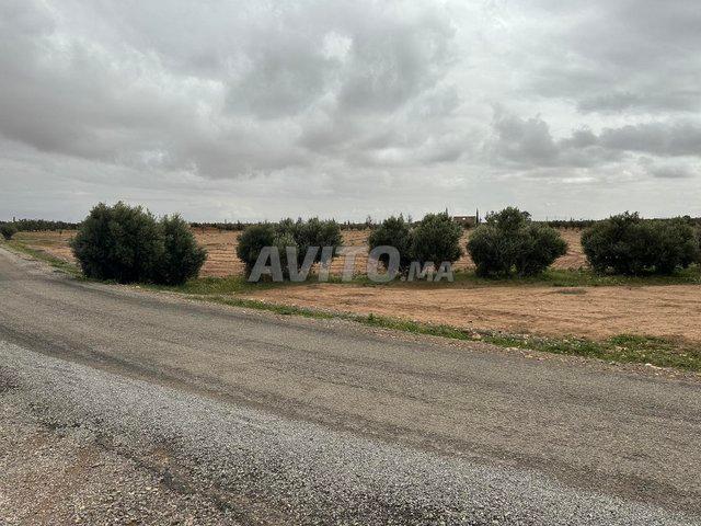 Propriété vente à Ben Slimane