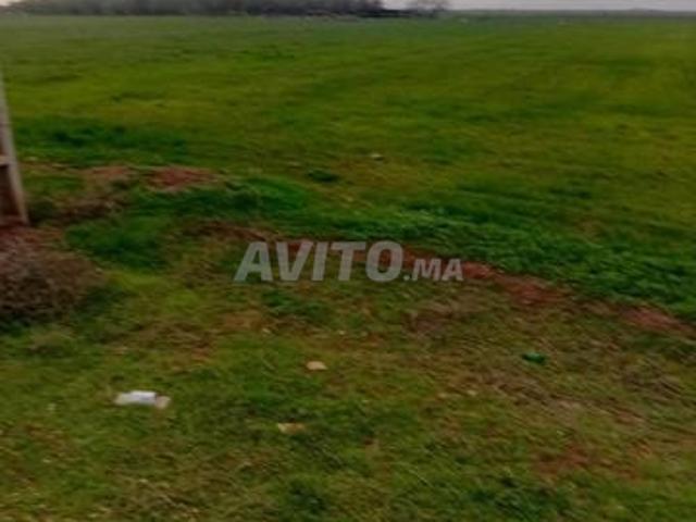 Propriété vente à Mellal