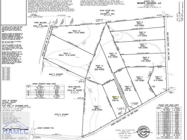 Land for sale in Cobbtown, Georgia