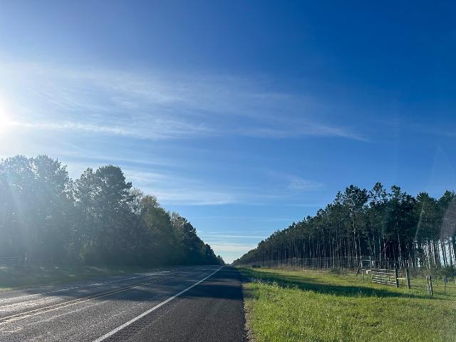 Land for sale in Polk, Texas