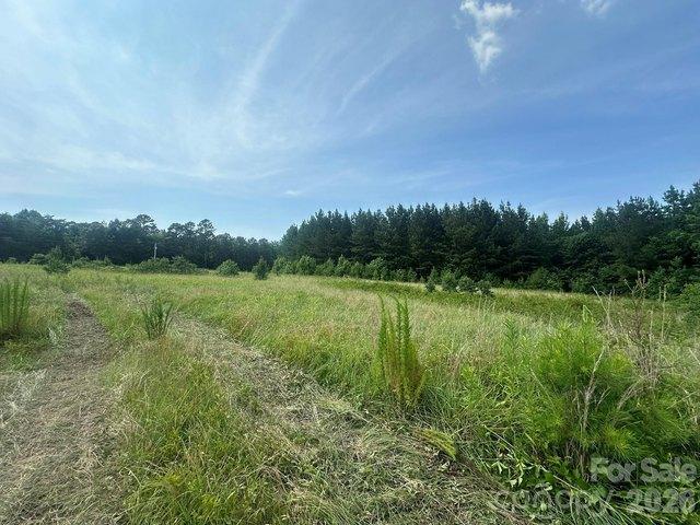 Land for sale in Iron Station, North Carolina