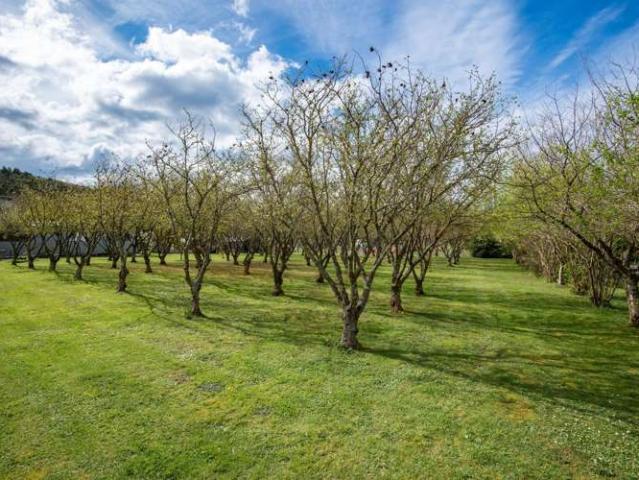 Land for sale in Otakou