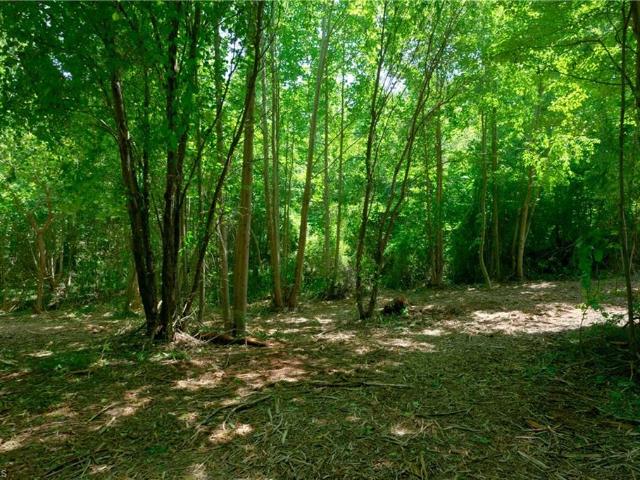 Land for sale in Yadkinville, North Carolina