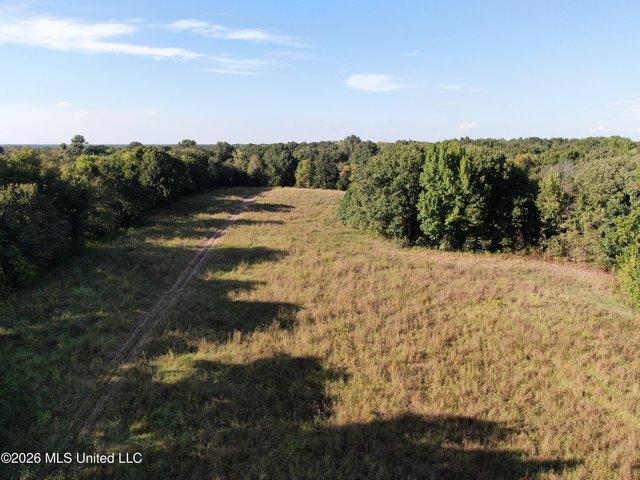 Land for sale in Nesbit, Hernando