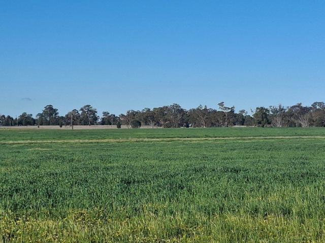 Acreage for sale in Dubbo, Dubbo Regional Council