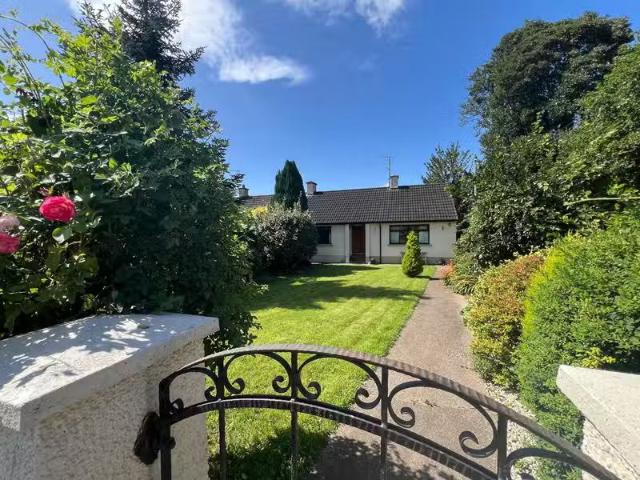 House to rent