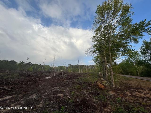 Land for sale in Crosby, Mississippi