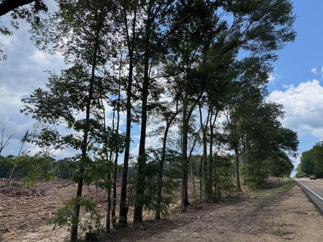 Land for sale in Crosby, Mississippi