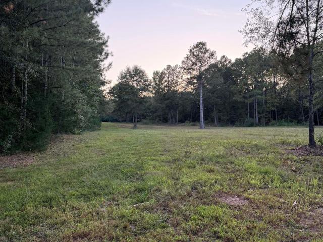 Land for sale in Newberry, South Carolina
