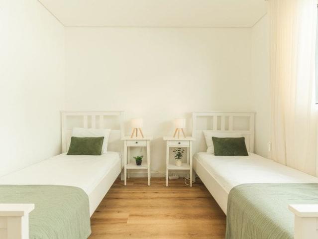 Apartamento alugar em Ribeira Fernanda, Câmara de Lobos