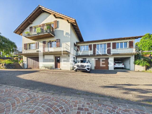 Haus kaufen in Widen, Aargau