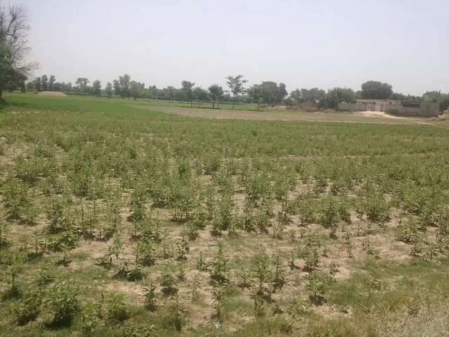 Commercial for sale in Muzaffargarh, Islamabad Capital Territory