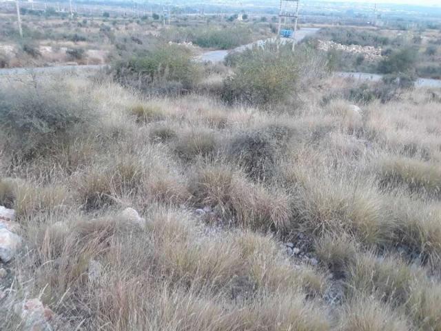 Land for sale in Islamabad